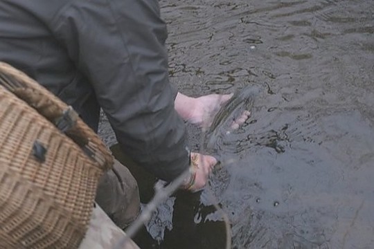 Žieminių upėtakių žvejyba: kuo pradėti ir kuo užbaigti? (II)