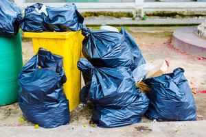 Neprižiūrima šiukšlių dėžė namuose gali sukelti daug problemų