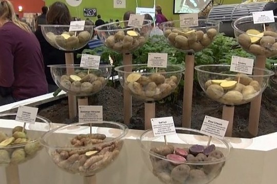 Ką pristatė latviai parodoje Berlyne? (II)