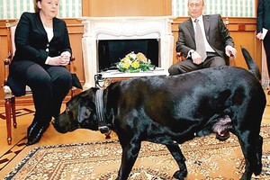 Rusija gedi: nugaišo Vladimiro Putino šuo