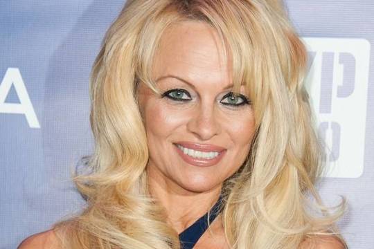 Pamela Anderson su vyru skiriasi jau n-tąjį kartą