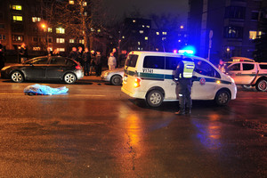Vilniaus policijai pasidavė moterį užmušęs vairuotojas