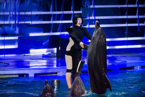 Kristina Navickaitė-Tina pasikeitė neatpažįstamai