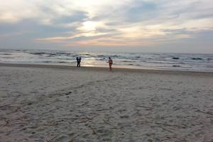 Studentė negalėjo patikėti tuo, ką pamatė Klaipėdos pajūryje