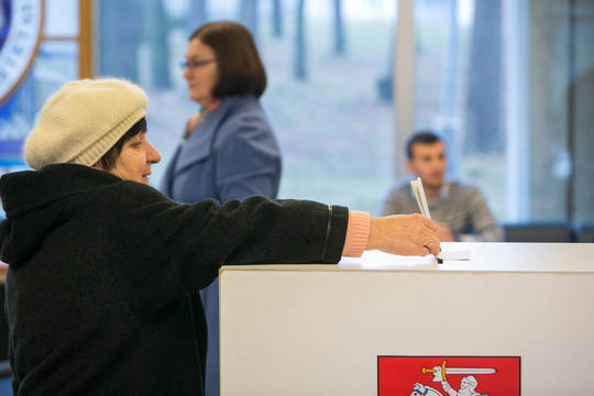 Seimo nario rinkimuose dalyvavo 47,81 proc. rinkėjų