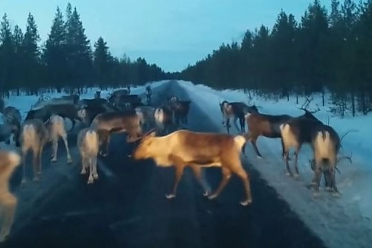 Užfiksavo vaizdelį Norvegijoje: „Neteko matyti nieko panašaus“