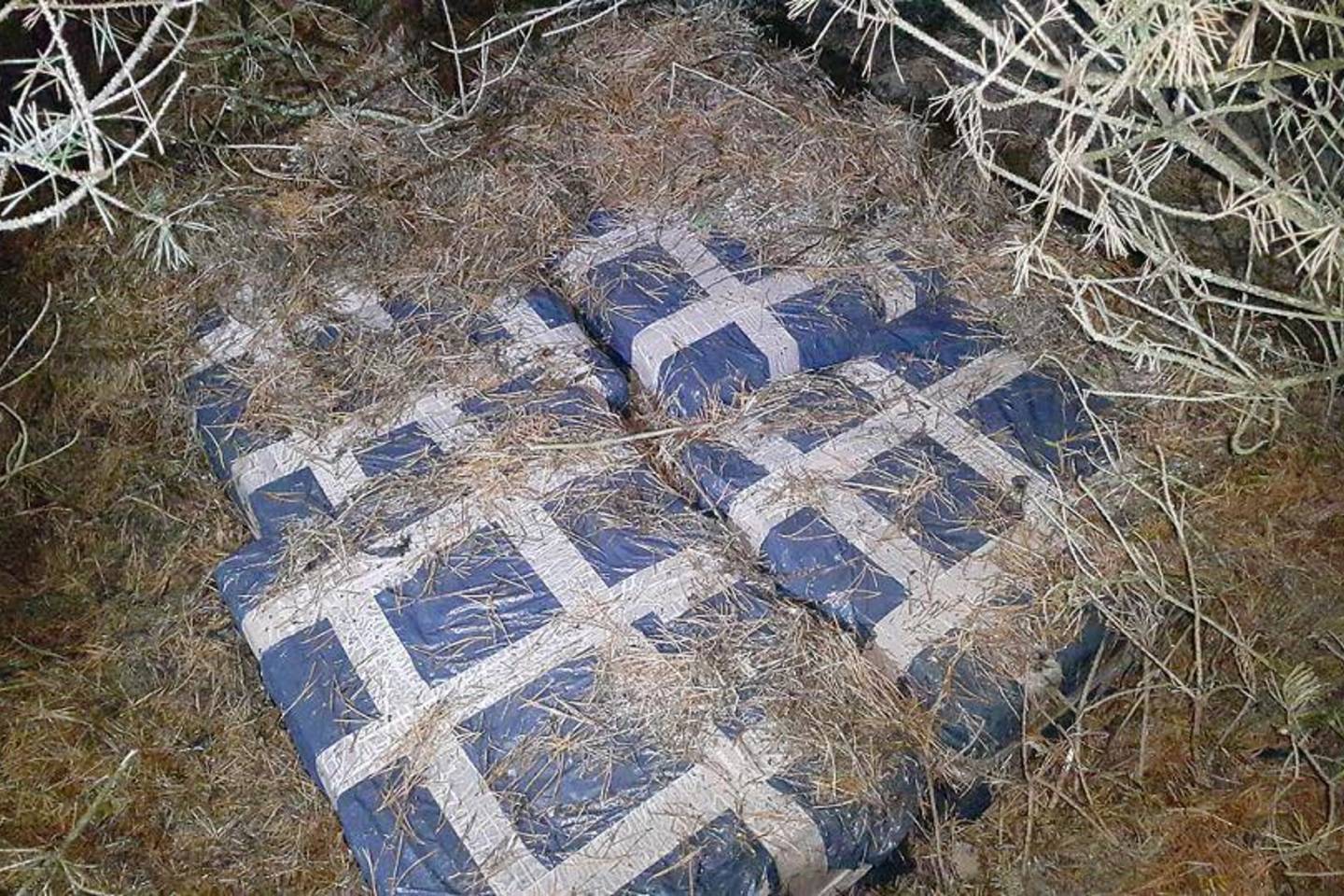 Į Lietuvą kontrabandinių rūkalų atnešę baltarusiai slėpėsi krūmynuose.