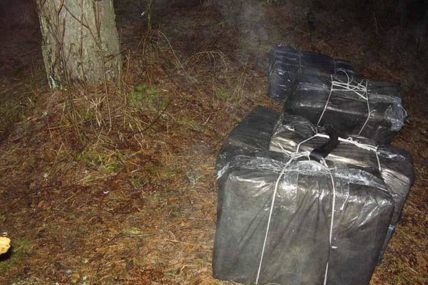 Pasieniečiai sugaudė Nerimi atplukdytų cigarečių kontrabandininkus.
