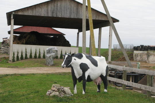 Kas pirmi nusilauš ragus – pieno perdirbėjai ar prekybininkai?