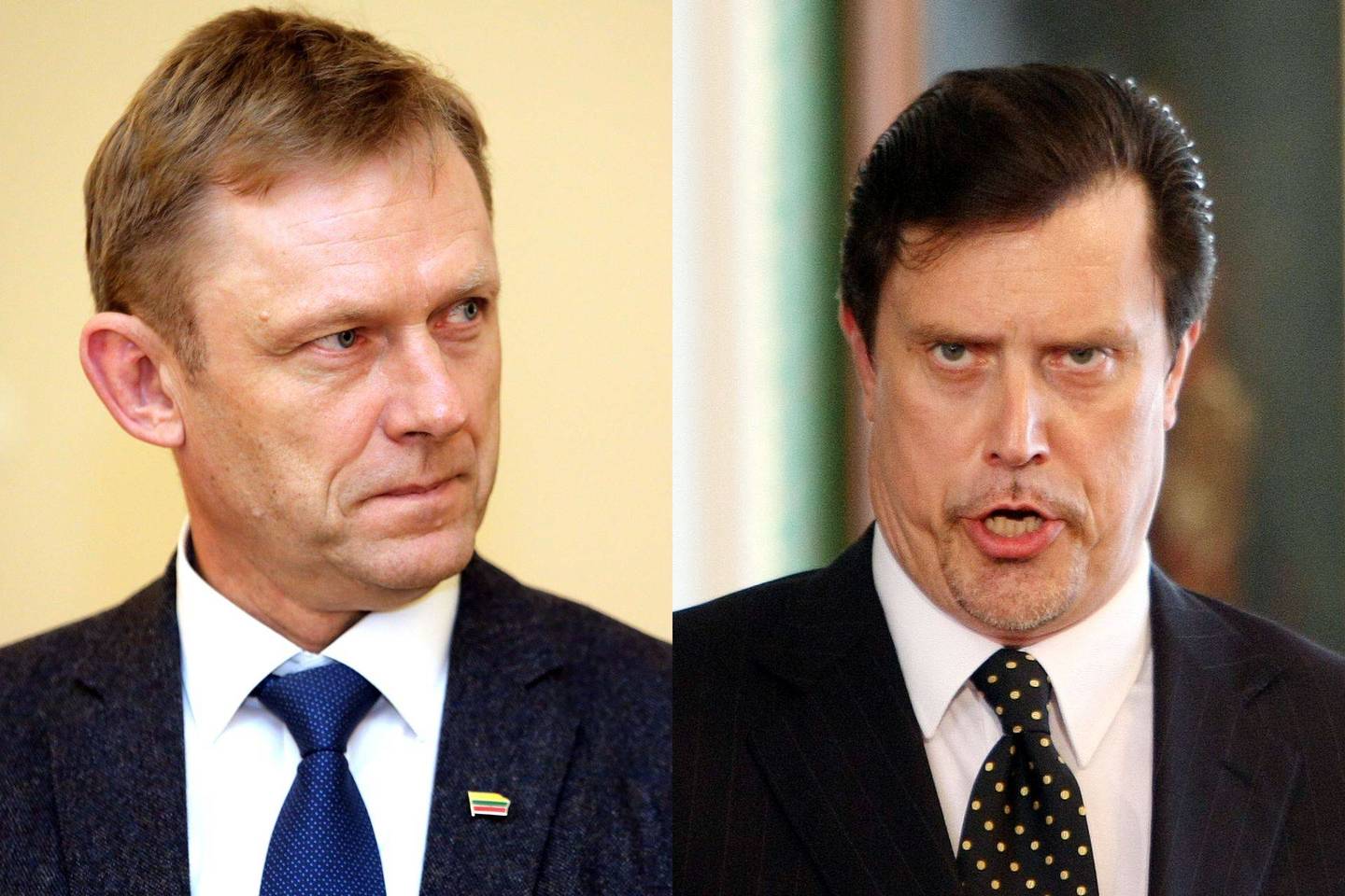 Kultūros ministras Š.Birutis linkęs Seimo nario V.Juozapaičio kaltinimus vadinti provokacija.<br>V.Balkūno ir R.Danisevičaus nuotr.