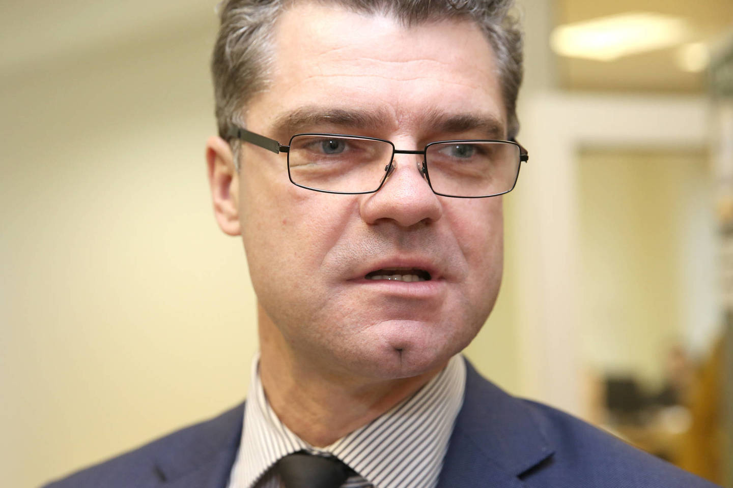 Ž.Šilgalis sakė, jog aptarti rinkimų į Vilniaus savivaldybę rezultatus dar anksti.