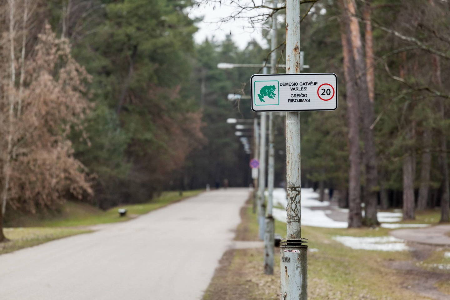 Naujas ženklas skirtas saugoti varlėms.<br>Vilniaus miesto savivaldybės nuotr.