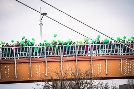 Klaipėdiečiai Lietuvos vėliavą sudėliojo iš daugybės balionų