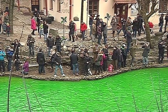Užupio respublika nusidažė žaliai