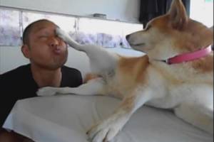 Įžūlus šuo pasityčiojo iš šeimininko ir parodė, kur jo vieta