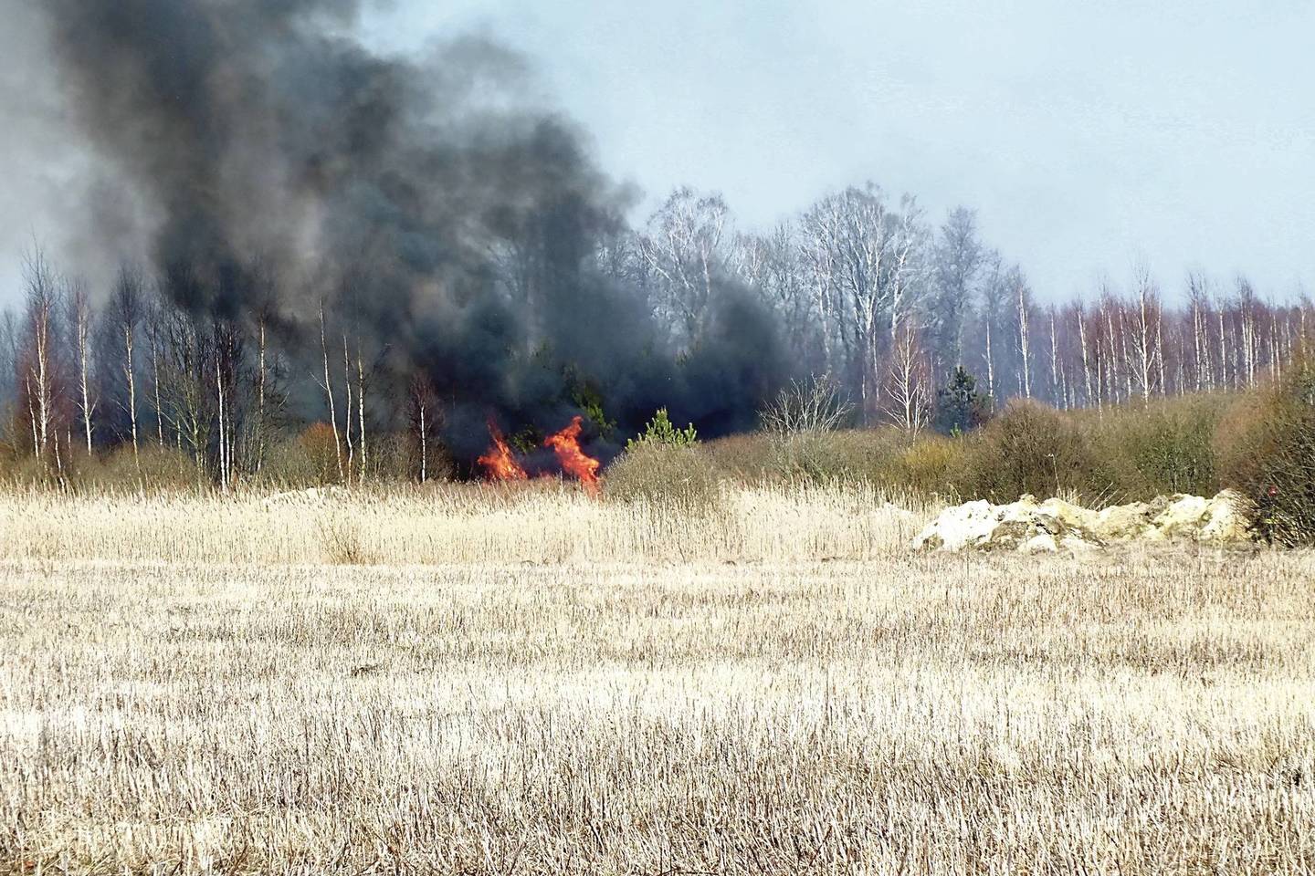 Iš degančios pievos ugnis kėsinosi persimesti į mišką ir tris sodybas.<br>Ugniagesių nuotr.