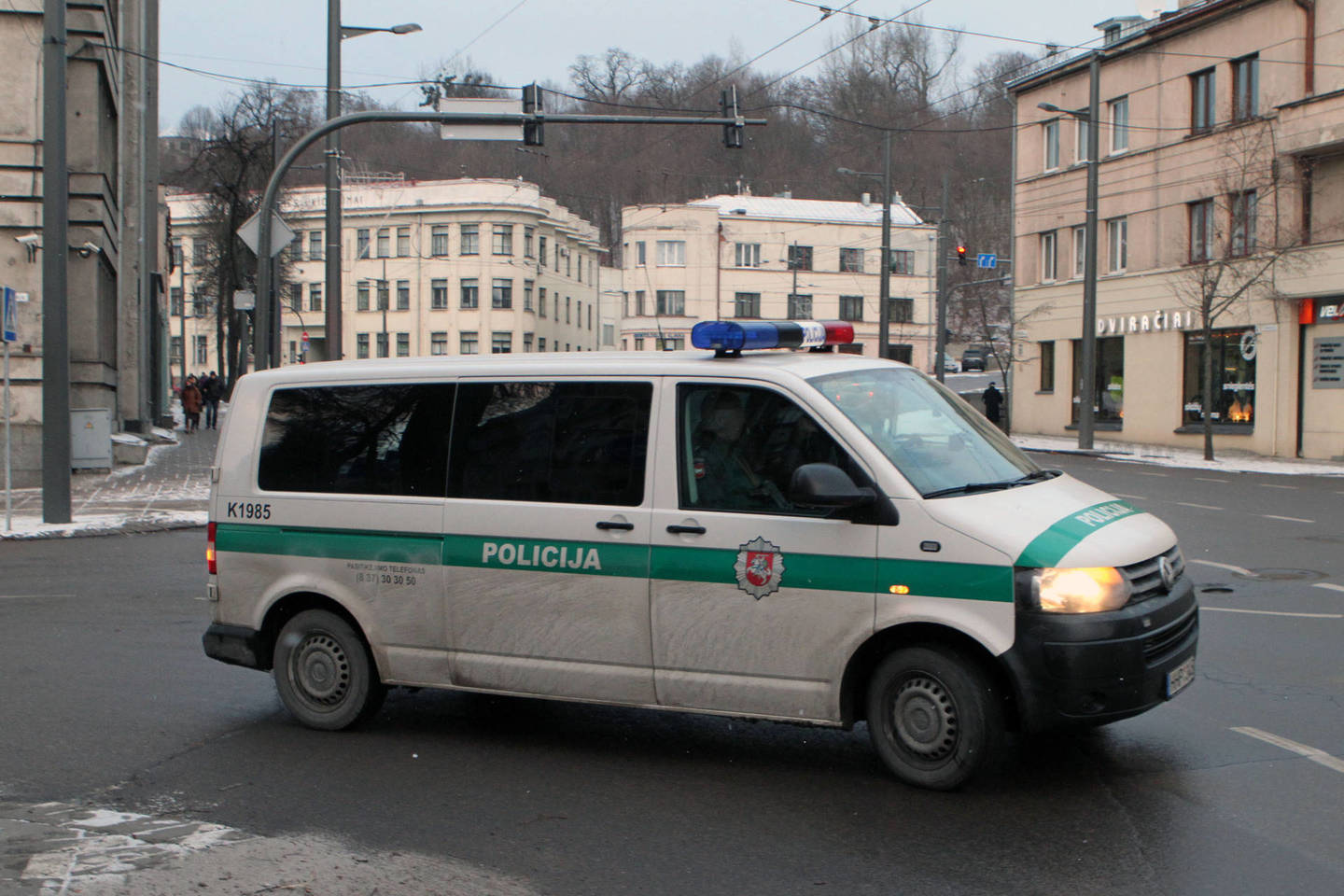 Kaune karys sukėlė avariją, nukentėjo senyva moteris.