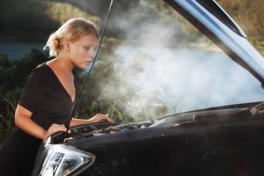 Viena naujovė privalomąjį draudimą pavertė ne tik „nauda kitam“