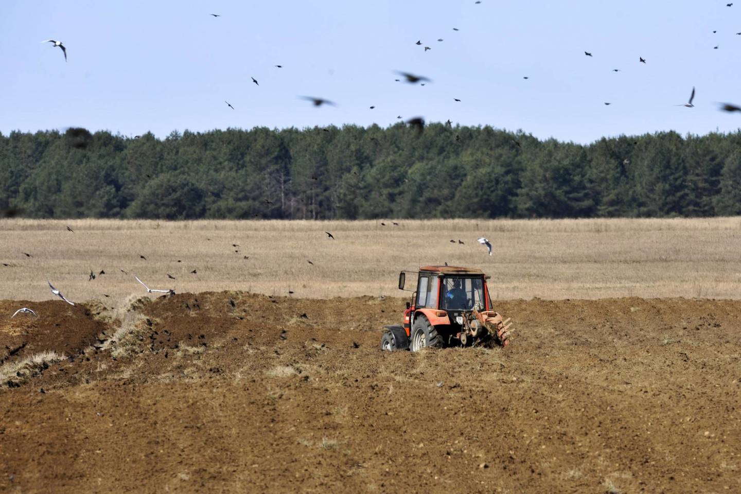 Žemės pardavimą iki šiol riboja įvairūs reikalavimai, tačiau netrukus jų gali sumažėti.