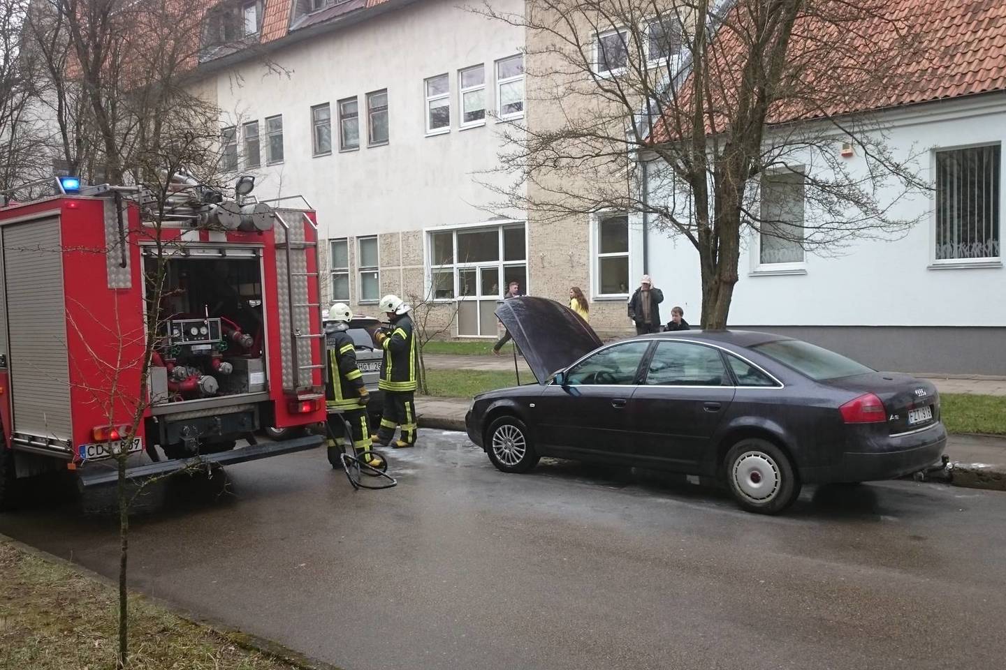 Liepsnos išgąsdino vairuotoją.