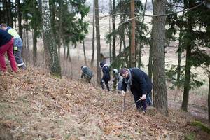 Kuršių paveldo sergėtojai kuopia apšnerkštus piliakalnius