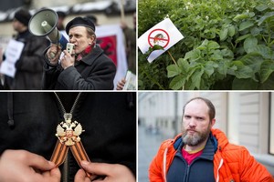 Iš kur atsirado Kolorado vabalai ir kiti ropojantys parazitai?