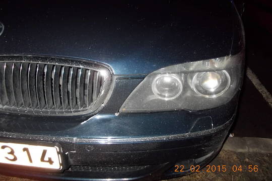 Teismas konfiskavo O.Pikul motinos BMW, broliui skirta bauda