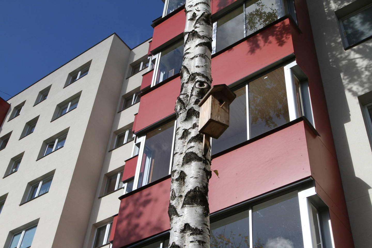 Vienas iš renovuoto būsto pranašumų – gerokai padidėjęs draugiškumas aplinkai: energetinis efektyvumas ir mažesni šilumos iššvaistymas yra renovuoto daugiabučio siekiamybė.