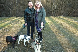 Šešiems šunims vilniečių pora aukoja ir santaupas, ir atostogas