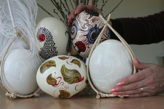 Pas stručių augintoją plūsta gurmanai