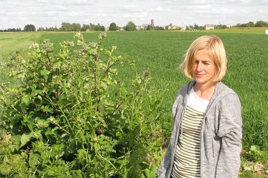 Dailininkė Agnė Juškaitė: „Tapau aplinką, kalbančią apie žmogų“