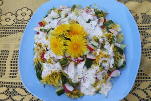 Botanikai ragina nesnausti – vitaminus dovanoja pati gamta