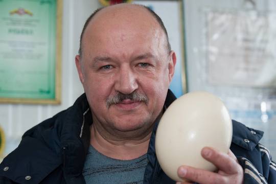 Stručių fermų vajus išsikvėpė – teliko vienas rimtas žaidėjas