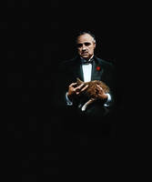 Garsenybių katėms – privatūs lėktuvai ir vaidmenys kino filmuose