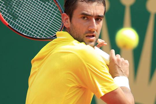 M. Čiličius Barselonoje pralaimėjo veteranui