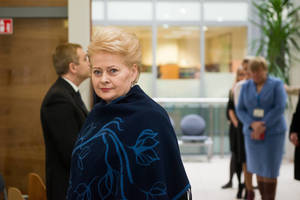 D.Grybauskaitė išdėstė, kodėl neverta važiuoti į paradą Maskvoje