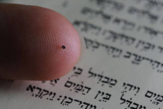 Muziejuje – judėjų Biblija, kurią perskaitys vienetai laimingųjų