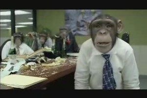 JAV valstybės struktūras mulkino vaizdo įrašu su beždžionėmis