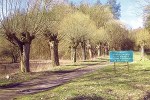 Pamirštas kelias Vilniaus pakraštyje slepia žmogžudžių istorijas
