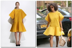 Beyonce sesuo Solange neatsispiria lietuviškam prekės ženklui