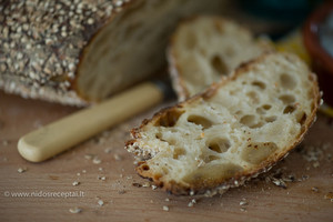 Nida Degutienė moko kepti duoną, kurios net nereikia minkyti