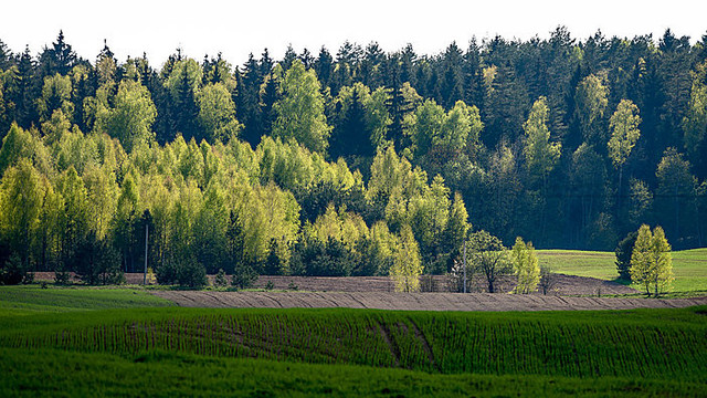 Lyti neturėtų, bet debesų vis daugės