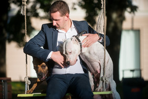 4 tonas plytų patempiantys šunys namie būna švelnūs kaip avelės