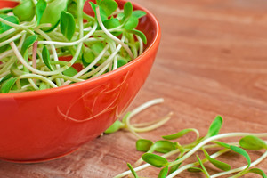 Kaip daiginti grūdus, sėklas ir išsaugoti jų energijos galias