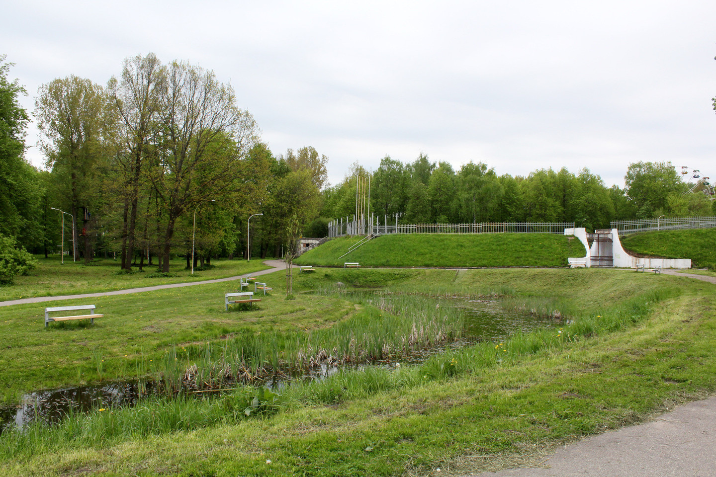 V.Purono sukurti suoliukai išdygo centriniame parke prie žolėmis apaugusios kūdros.<br>R.Vitkaus nuotr.