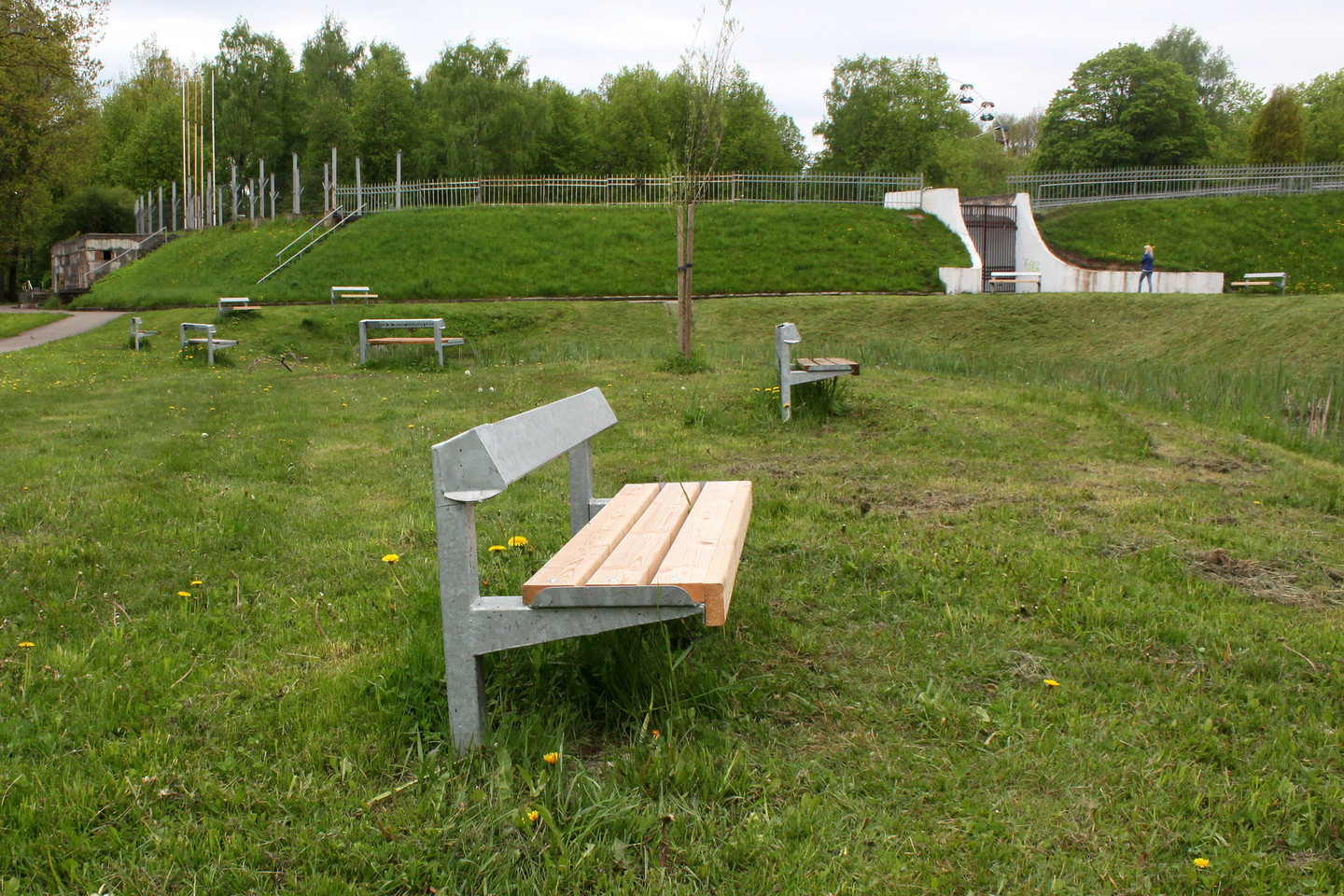 V.Purono sukurti suoliukai išdygo centriniame parke prie žolėmis apaugusios kūdros.<br>R.Vitkaus nuotr.