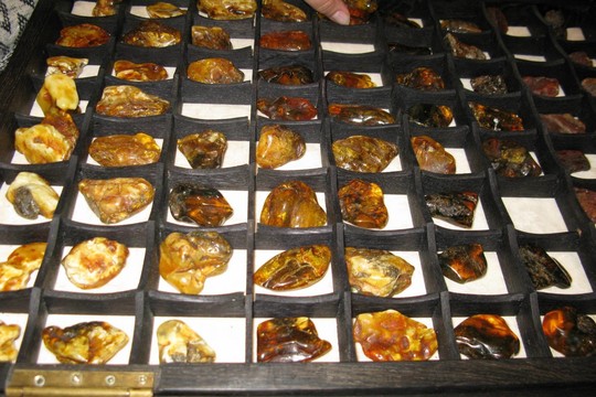 Senoje Surdegio stotyje, iš jūros rasto ąžuolo išskuobtoje dėžutėje saugomas įvairių Lietuvoe randamų rūšių gintaras.<br>E.Grižibauskienės nuotr.