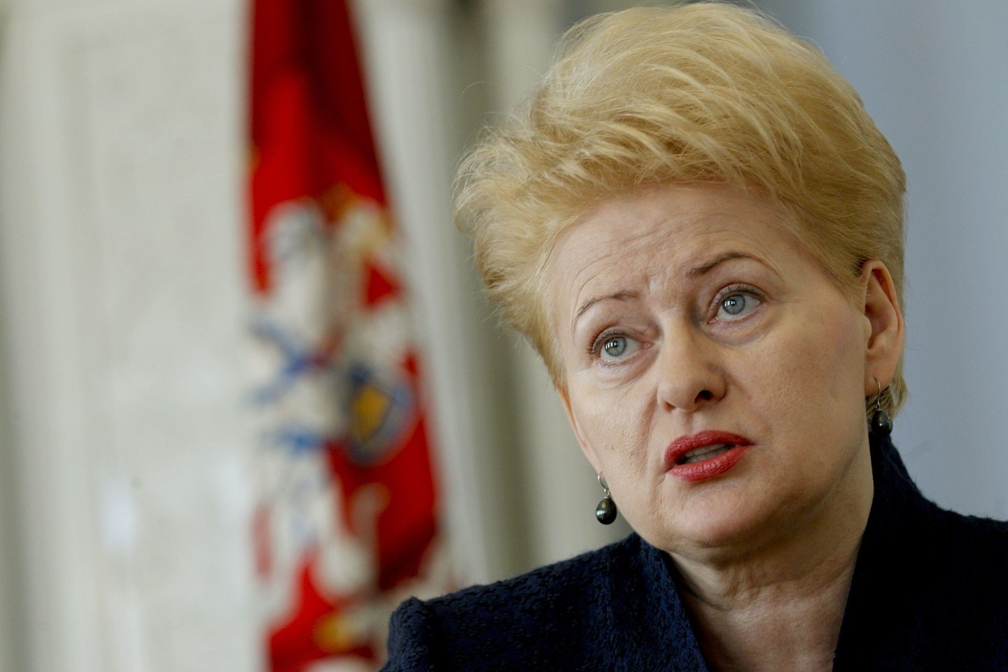 D.Grybauskaitė pataisas argumentavo būtinybe kovoti su priešiška propaganda.