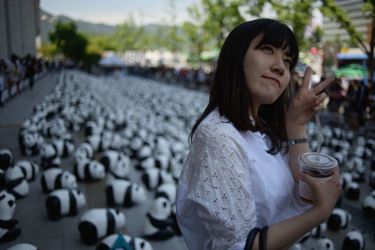 Seule „vieši“ 1,6 tūkst. popierinių prancūzo sumanytų pandų.<br>AFP/Scanpix nuotr.