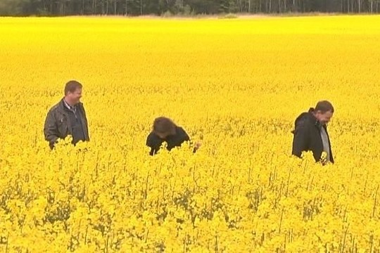 Kaip ūkininkams pavyko išplėtoti savo ūkį maksimaliai? (I)